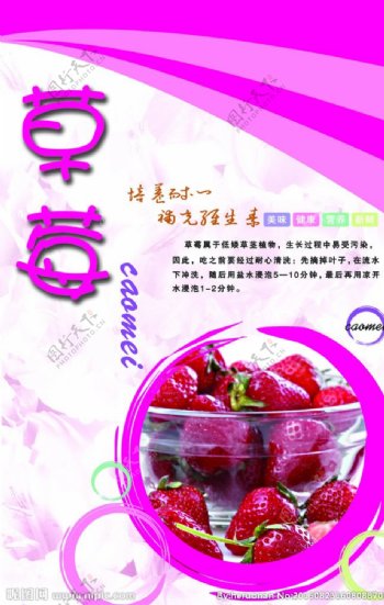 草莓水果海报图片