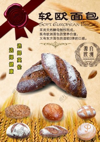 面包海报软欧面包图片