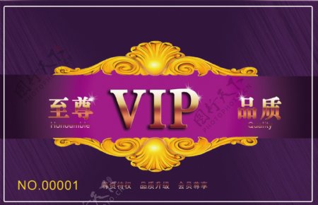 紫色VIP图片