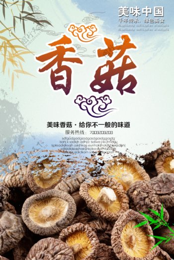 香菇海报图片