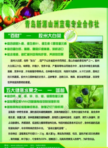 农产品宣传彩页图片