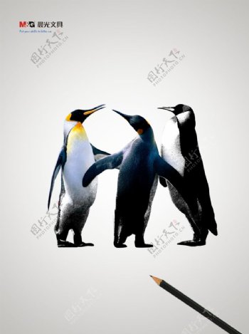 晨光铅笔海报企鹅图片