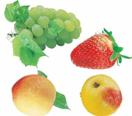 高清水珠水果素材图片