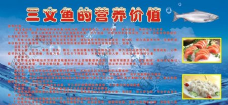 三文鱼饺子海报图片