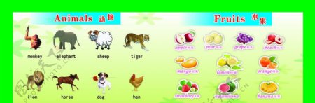 动物水果英语图片