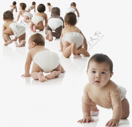 趴着的一群可爱婴儿宝宝图片