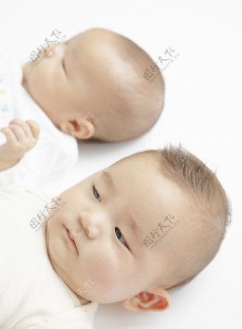 两个可爱婴儿宝宝图片