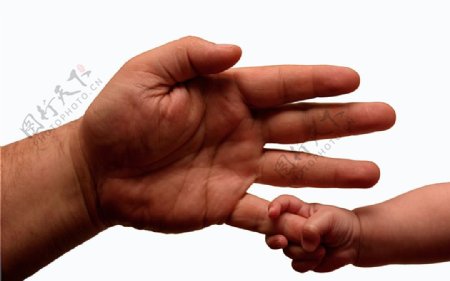 大人的手和婴儿的手图片