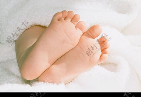 宝宝的小脚丫2图片