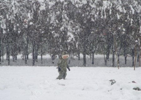 雪孩儿图片