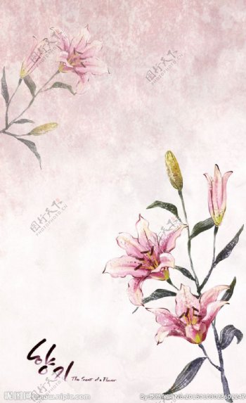 花卉海报图片