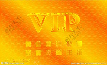 vip正面图片