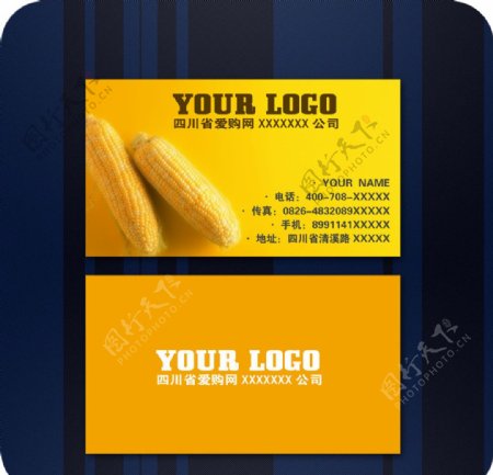 玉米名片图片