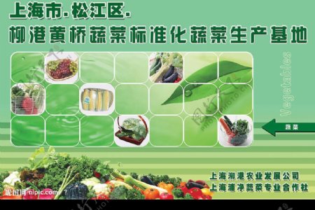 蔬菜推广海报图片