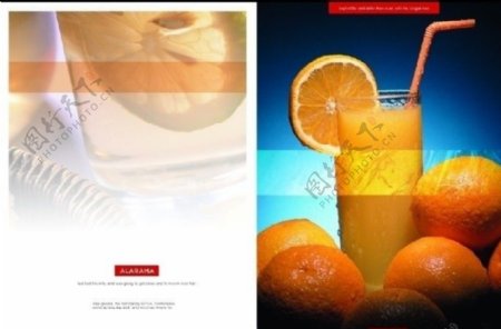 香橙饮品画册图片