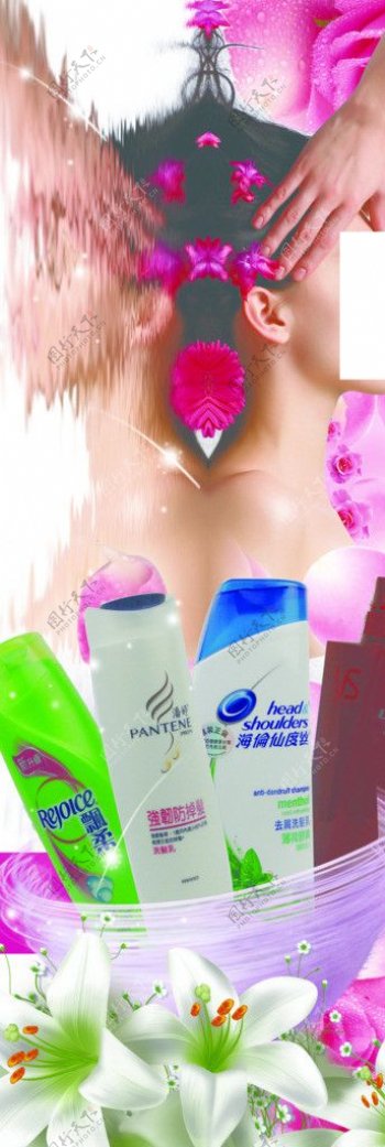 各种洗发水广告图片