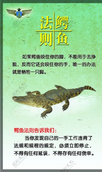 鳄鱼法则海报图片