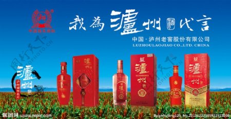 沪州酒海报图片