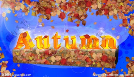 Autumn秋3D字体图片