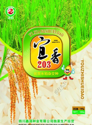 宜香203型优质水稻杂交种图片