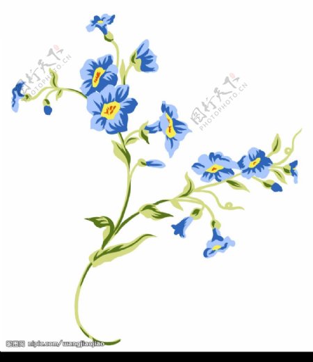 精美韩国花卉PSD素材图片