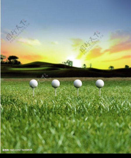 草地与高尔夫球图片