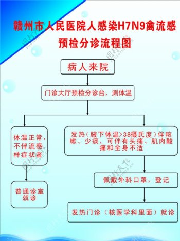 H7N9流程图图片