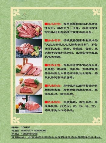 猪肉宣传图片