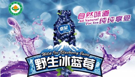 野生蓝莓汁广告图片