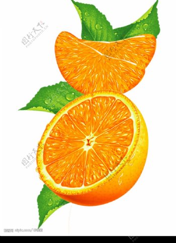 橙瓣图片