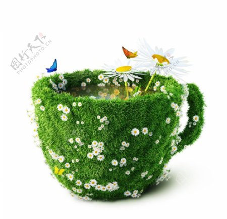 绿色茶杯鲜花蝴蝶图片