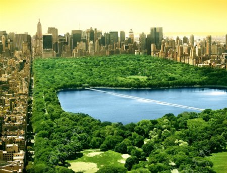 纽约中央公园图片