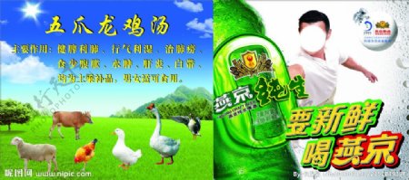 五爪龙鸡汤燕京啤酒图片
