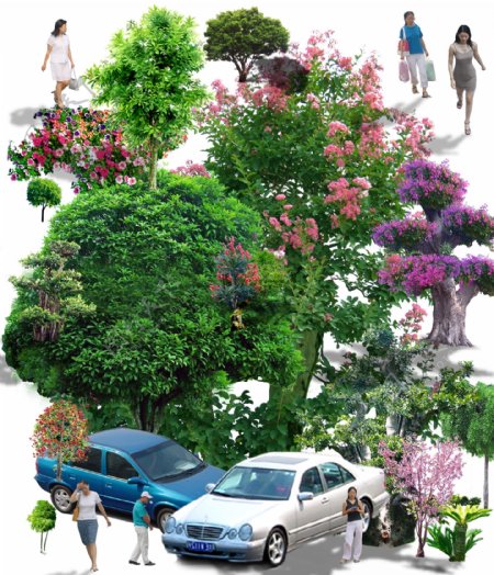 园林设计配景素材车人树图片
