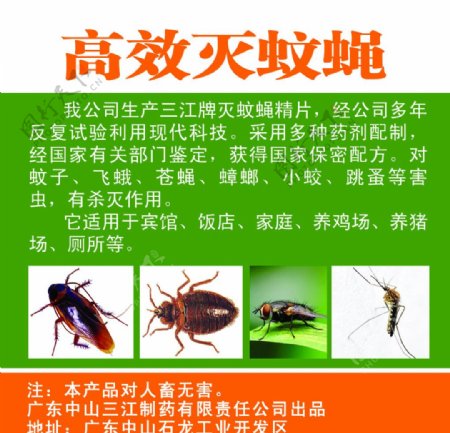高效灭蚊蝇海报图片