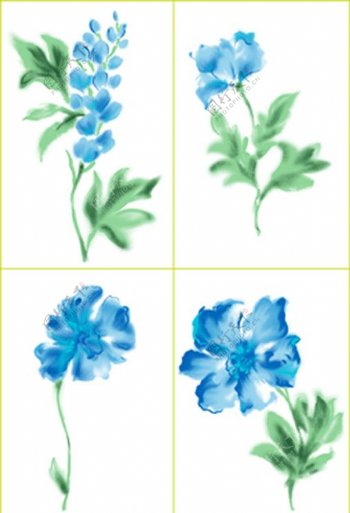 四款水彩蓝花图片