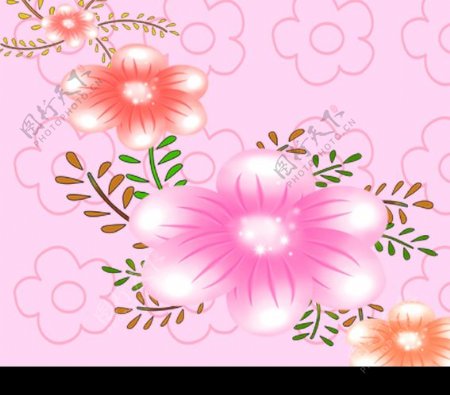 韩国花纹花卉图片