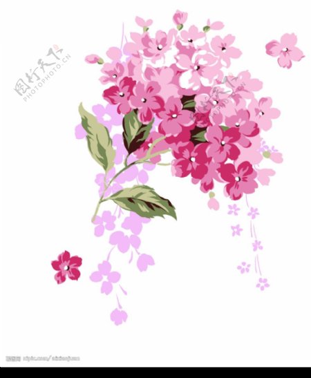 粉紫色的时尚花卉与蝴蝶psd分层素材图片