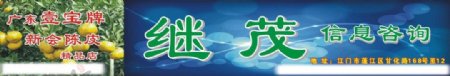 陈皮图片