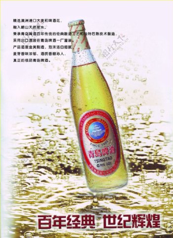 青岛啤酒白金系列图片