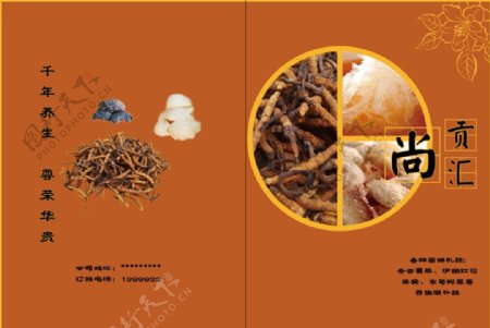 冬虫夏草宣传册封面设计图片