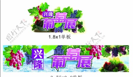 葡萄展葡萄素材绿叶素材图片