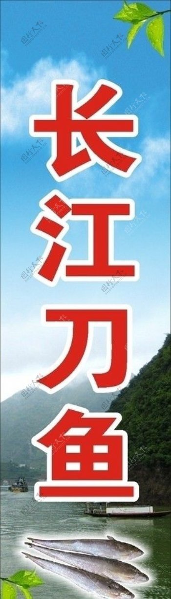 长江刀鱼广告图片