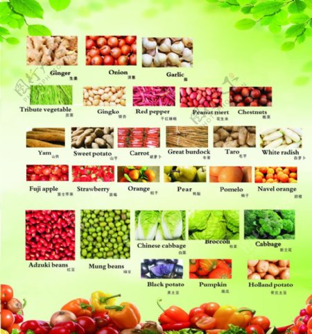 果蔬产品手册宣传图片