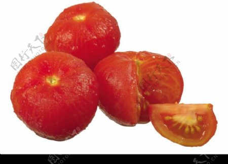 西红柿0021