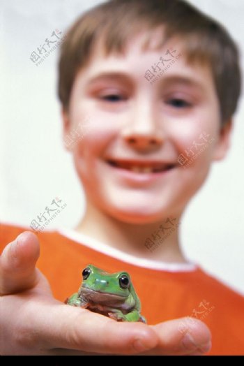 可爱青蛙0145