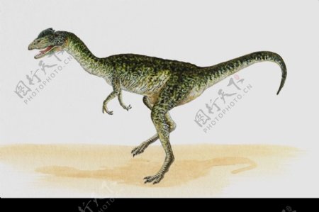 白垩纪恐龙0017