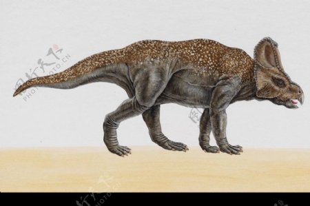白垩纪恐龙0046