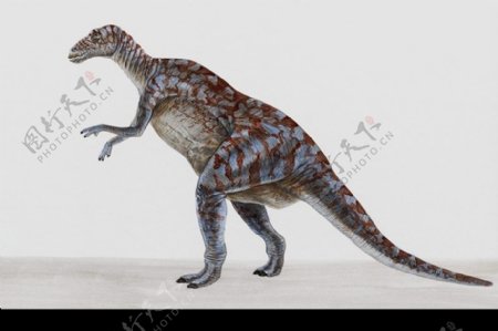 白垩纪恐龙0049