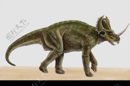 白垩纪恐龙0050